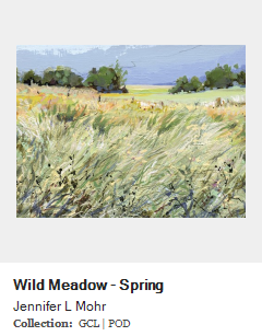 Wild Meadow - Spring