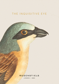 The Inquisitive Eye
