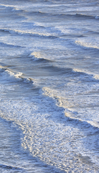 Sun, Sea & Surf