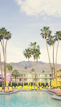 Oasis of Cool
