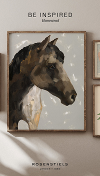 Homestead Look Book