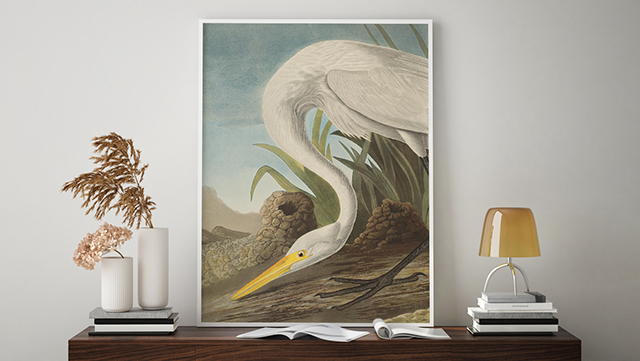 640px_James_Audubon_Banner.jpg