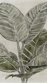 Calming Greenery