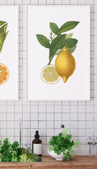 Fruitful