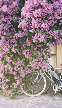 Flourishing Florals
