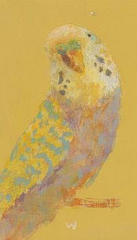 Pop Birds by Roy Woodard