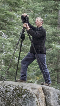 Joe Cornish