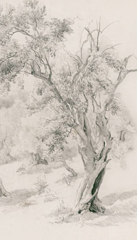 Artist Studies