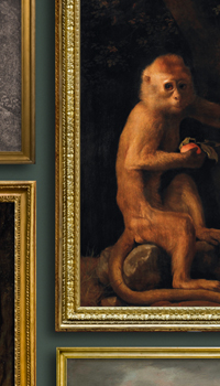 George Stubbs' Exotic & Domestic Animals