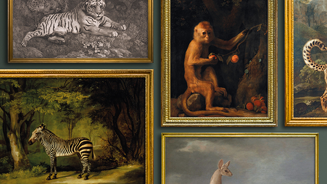 640px_George_Stubbs_Banner.jpg