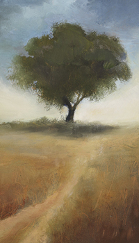 Tranquil Trails
