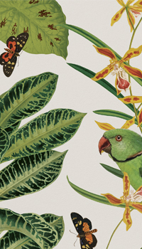 Exotica