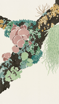 Biophilic Beauty