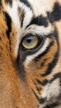 Earth Day 2025 – Our Power, Our Planet