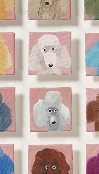Dog's Day
